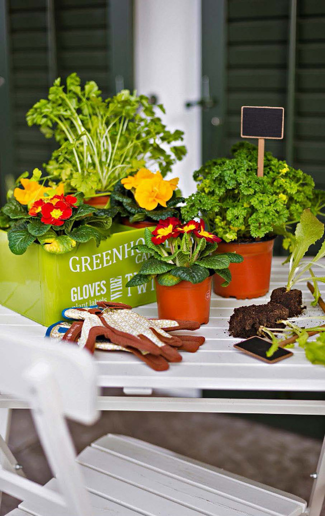 Du betrachtest gerade ABGESAGT: Landliebe Balkonkurse