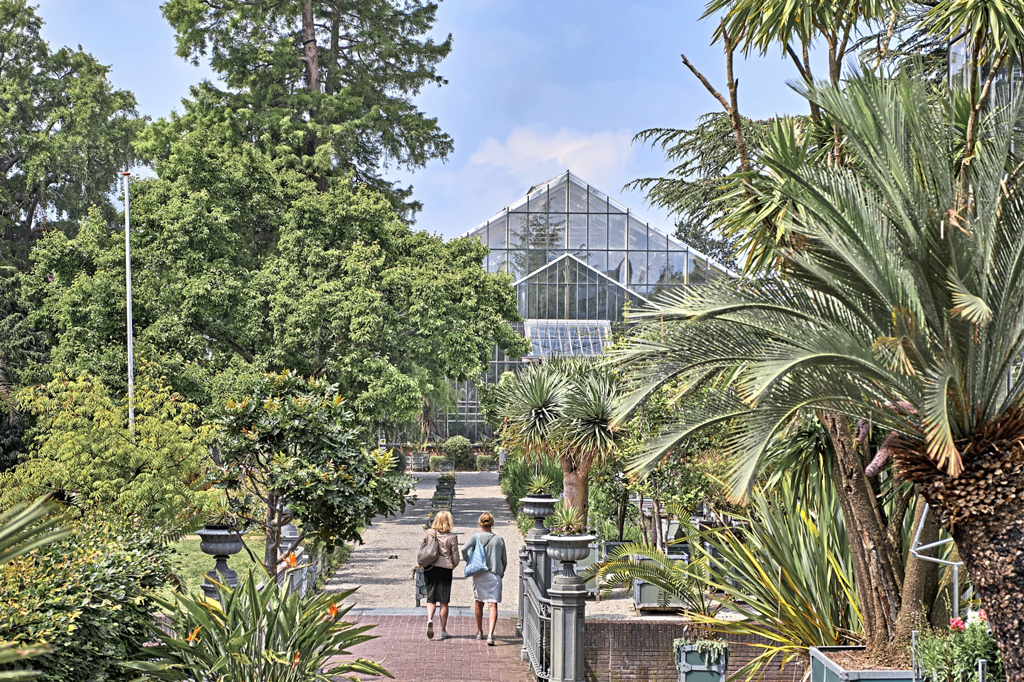 Du betrachtest gerade Gartenreise Holland mit der Excellence Countesse